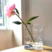 Triangular Vase - 23cm - Seedhead & Dragonfly